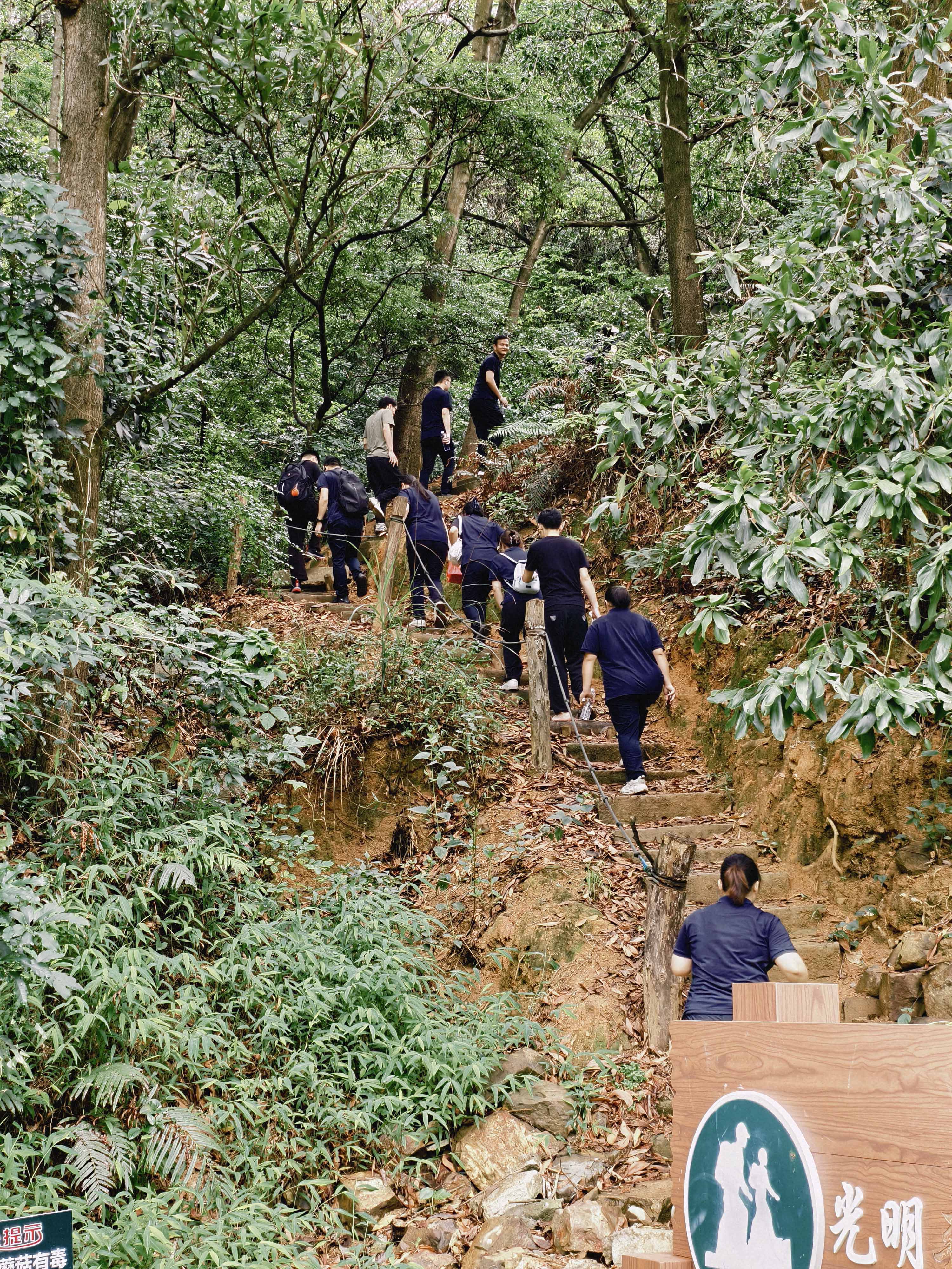 久信達科技公司員工齊聚光明區(qū)蠄蜍石，開啟活力爬山之旅暨團建活動(圖2)